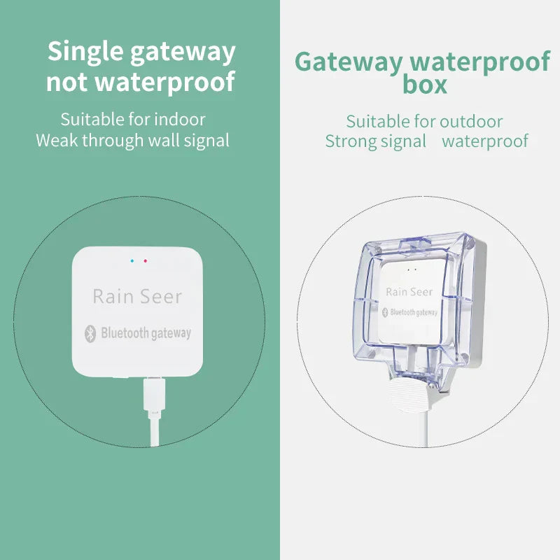 Rain Seer Tuya Bluetooth Garden Home Irrigation Watering