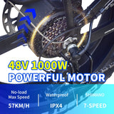 DEEPOWER H20PRO Electric Bicycle 2000W 48V20AH Hydraulic brake