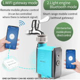 Rain Seer Tuya Bluetooth Garden Home Irrigation Watering