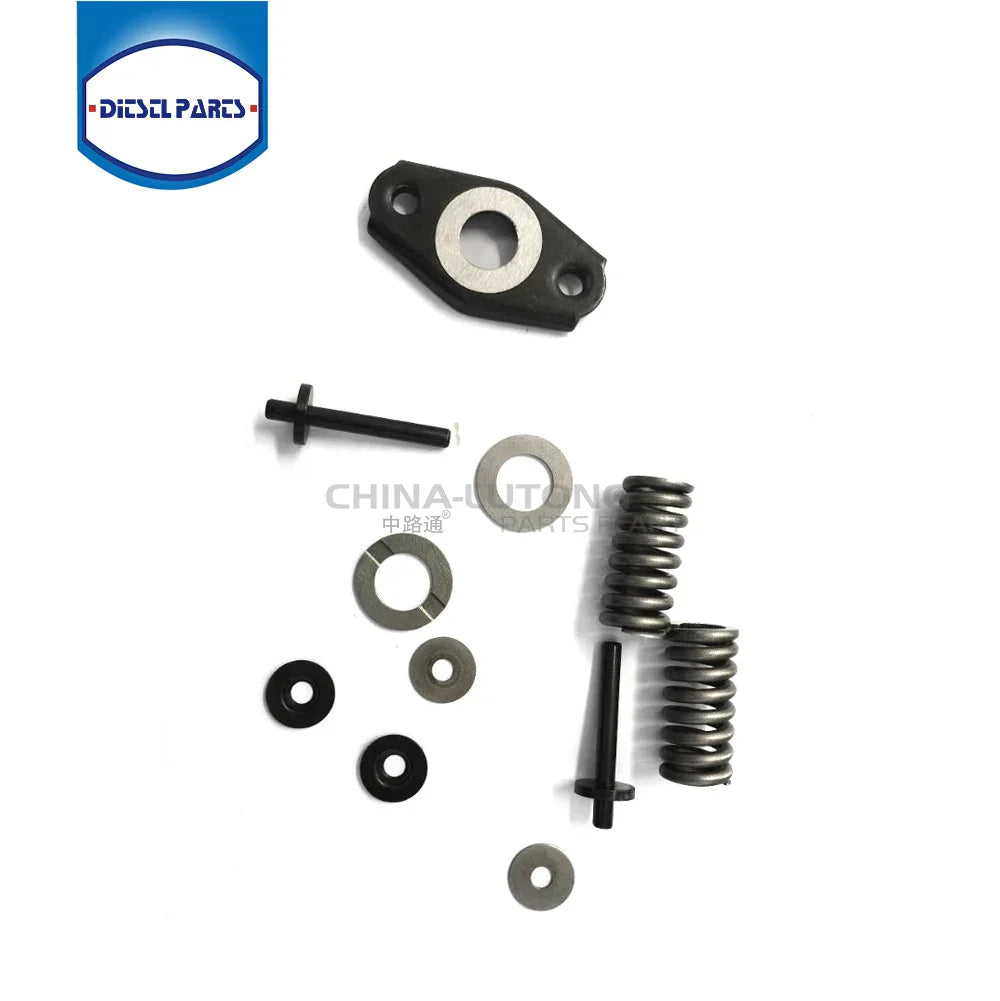 VE Pump Rebuild Kit Spring Set Injection Pump