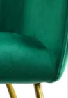 Accent Chair, Green Lounge Sofa Chairs for Living