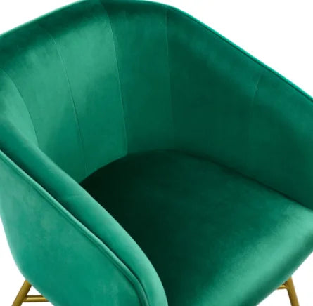 Accent Chair, Green Lounge Sofa Chairs for Living