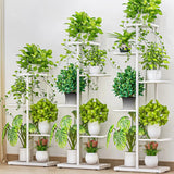 Cordlal Shining Stand For Flowers Iron 6/7/8Layers Plant
