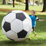 60cm/80cm/130cm/150cm Giant Inflatable Beach Ball Adults Children Water