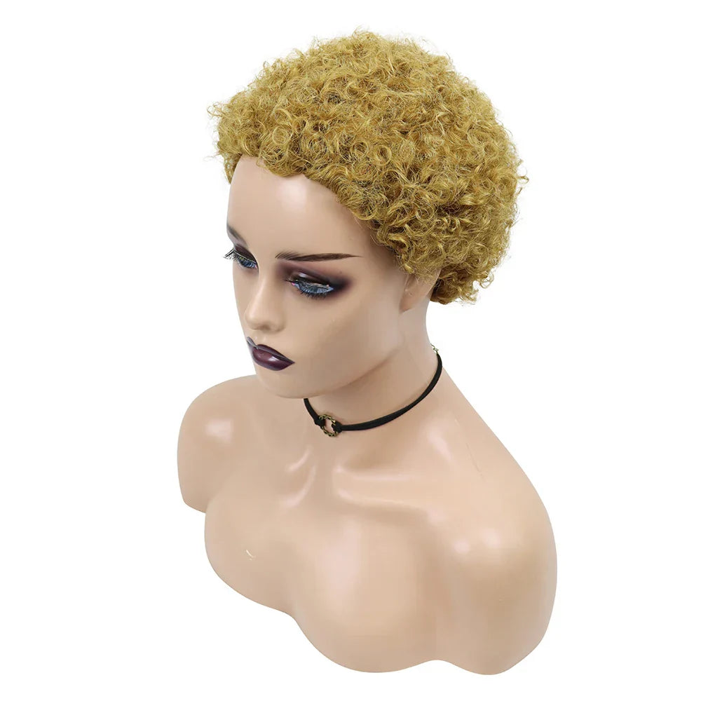 Kinky Curly Wigs Short Wigs for Black Women