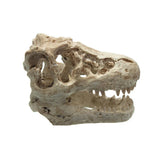 1 Pcs Dragon Resin AquariumTerrarium Decoration Crocodile Skull