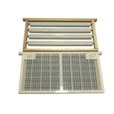 1set queen rearing system bee larva cell cups