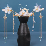 Chinese Hanfu Hair Accessories Set Long Fringed Vintage