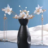 Chinese Hanfu Hair Accessories Set Long Fringed Vintage