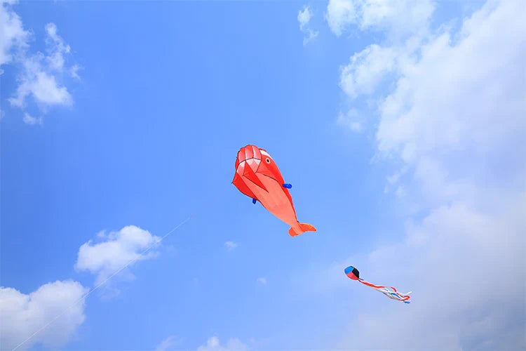 free shipping large dolphin kite flying soft kites