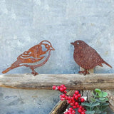Sparrow Robin Garden Birds Outdoors Garden Decoration Rusty