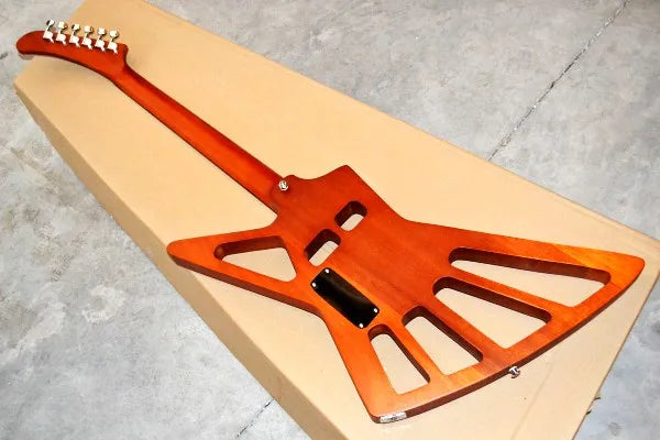 Factory customized goose shaped 6 electric guitar hollow