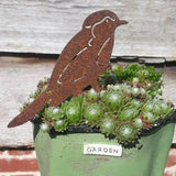 Sparrow Robin Garden Birds Outdoors Garden Decoration Rusty