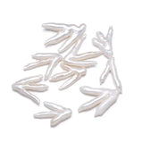 Natural Freshwater Pearl Pendant Punch Loose Beads Irregular