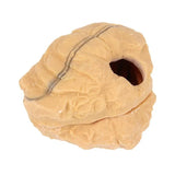 Powerlong Crawler Hiding Cave Lizard Turtle Hide Rest