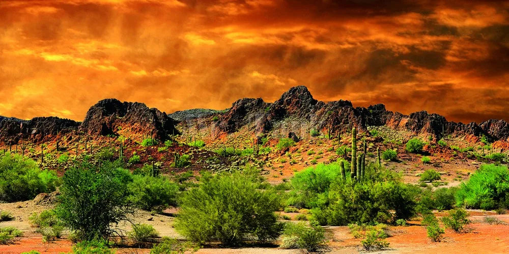 Mr.Tank Reptile Habitat Background Poster HD Desert View