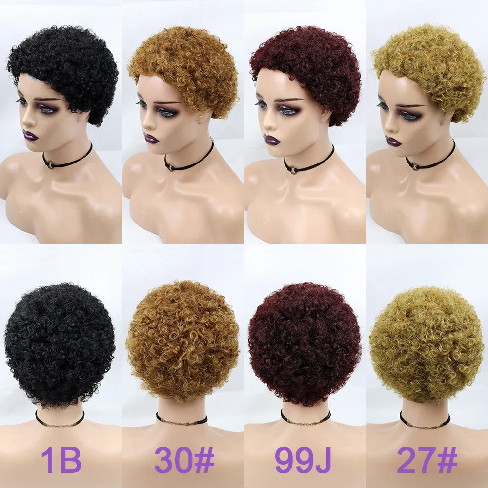 Kinky Curly Wigs Short Wigs for Black Women