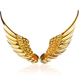 Car Auto Sticker 3D Stereo Metal Angel Wing