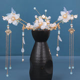 Chinese Hanfu Hair Accessories Set Long Fringed Vintage