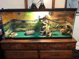 Mr.Tank Reptile Habitat Background Poster HD Desert View