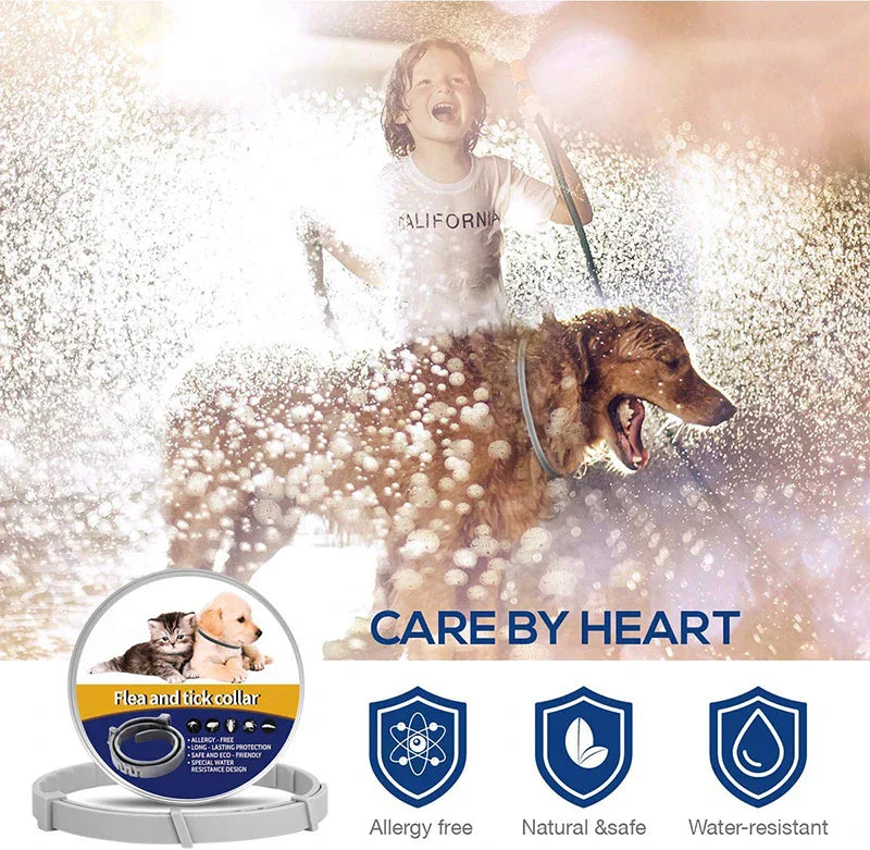Benepaw Effective Pet Flea Collar 8 Months Protection
