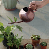 1L Stainless Steel Watering Pot Gardening Potted Small