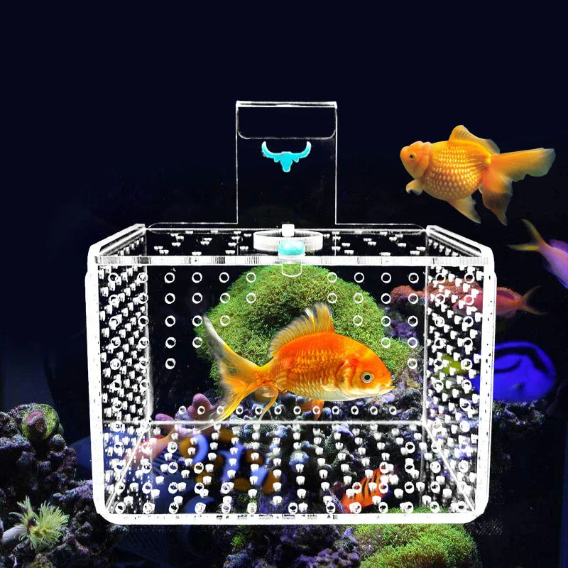 Aquarium Incubator Transparent Acylic Fish Tank Isolation Box