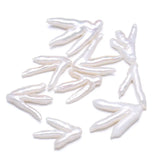Natural Freshwater Pearl Pendant Punch Loose Beads Irregular
