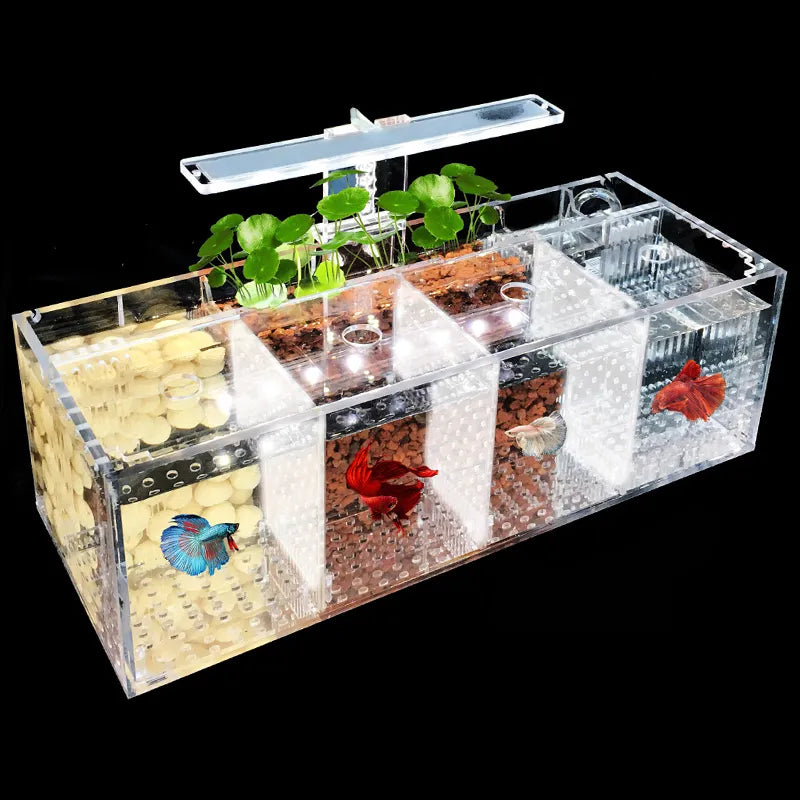 220V Creative Betta Fish Tank Breeding Incubator Isolation