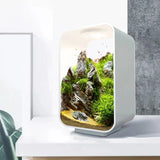 Desktop Smart Betta Fish Tank Mini Acrylic Betta