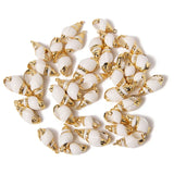 10PCS Natural White Shell Charms Tiny Conch Cowrie