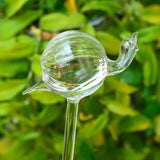 House Garden Water Houseplant Plant Pot Little Bird
