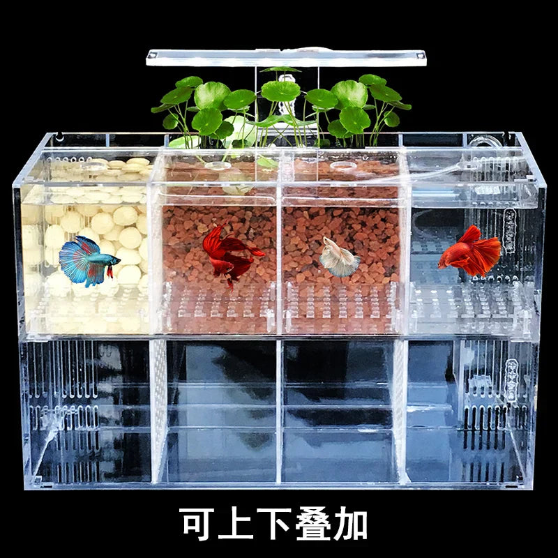 220V Creative Betta Fish Tank Breeding Incubator Isolation