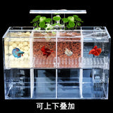 220V Creative Betta Fish Tank Breeding Incubator Isolation