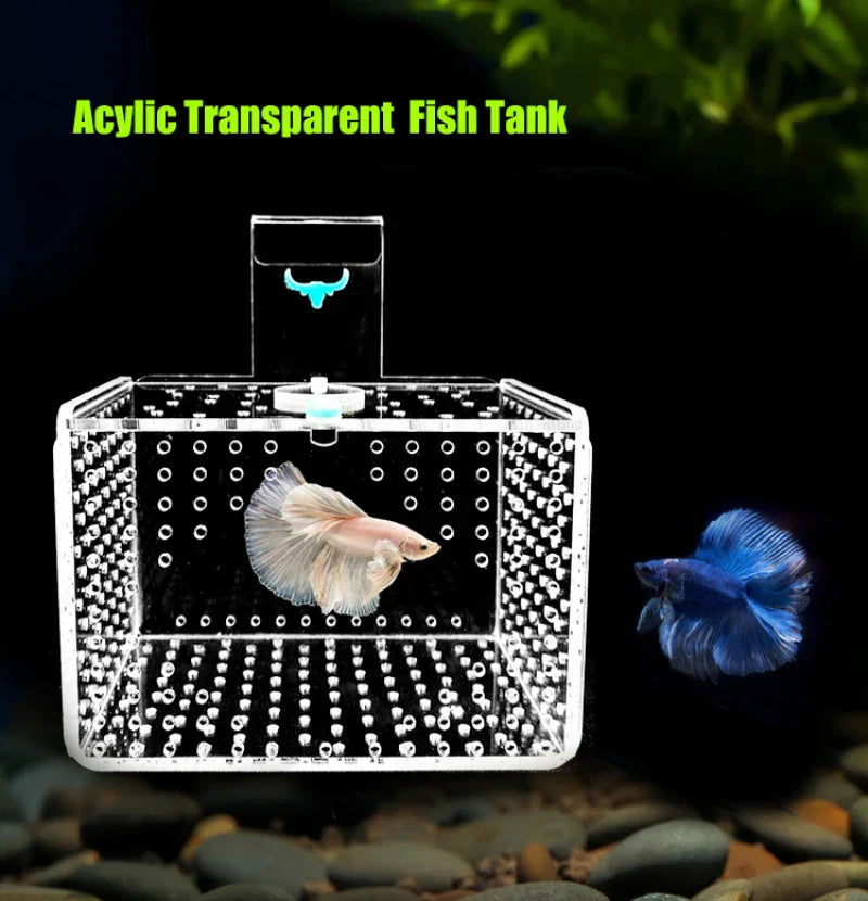 Aquarium Incubator Transparent Acylic Fish Tank Isolation Box