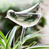 House Garden Water Houseplant Plant Pot Little Bird