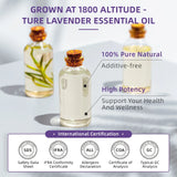 HIQILI 100ML Lavender Essential Oils for Diffuser Humidifier