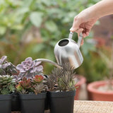 Stainless Steel Watering Pot Gardening Potted Small Watering