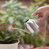 Stainless Steel Watering Pot Gardening Potted Small Watering