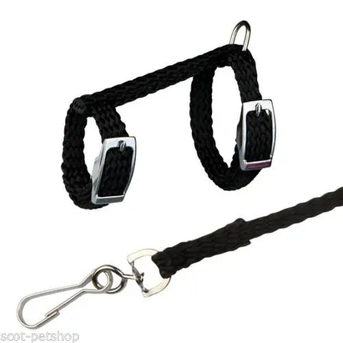 4 Colors Adjustable Nylon Harness Collar Set with