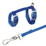 4 Colors Adjustable Nylon Harness Collar Set with