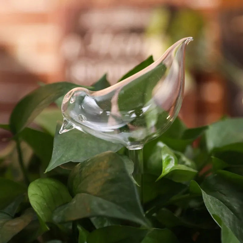 Houseplant Automatic Self Watering Glass Bird Watering Cans