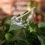 Houseplant Automatic Self Watering Glass Bird Watering Cans