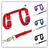 4 Colors Adjustable Nylon Harness Collar Set with
