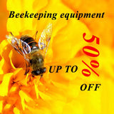 1000pcs Beekeeping Plastic Rearing Queen Bee Tools Bees