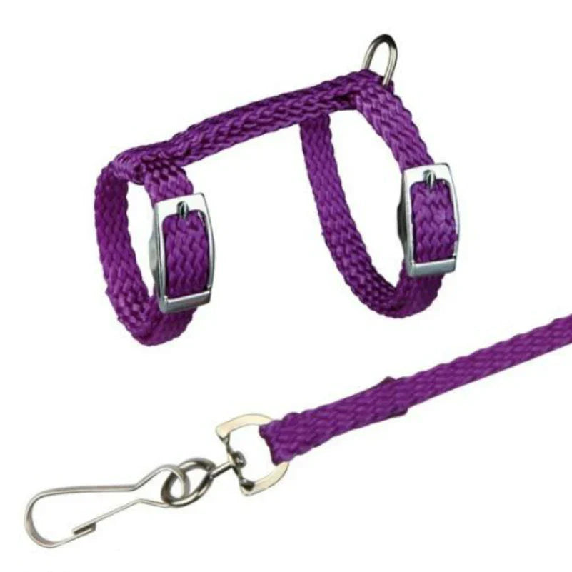 4 Colors Adjustable Nylon Harness Collar Set with