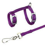 4 Colors Adjustable Nylon Harness Collar Set with