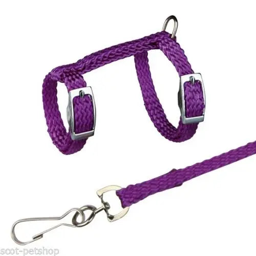 4 Colors Adjustable Nylon Harness Collar Set with