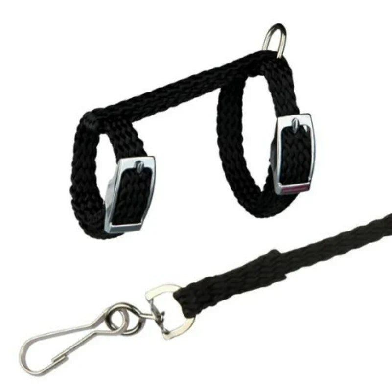 4 Colors Adjustable Nylon Harness Collar Set with