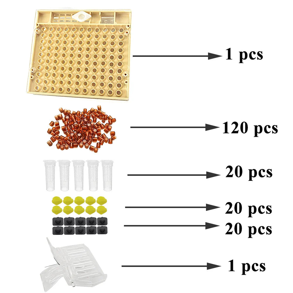 Complete Queen Rearing System Kit King Cultivating Box